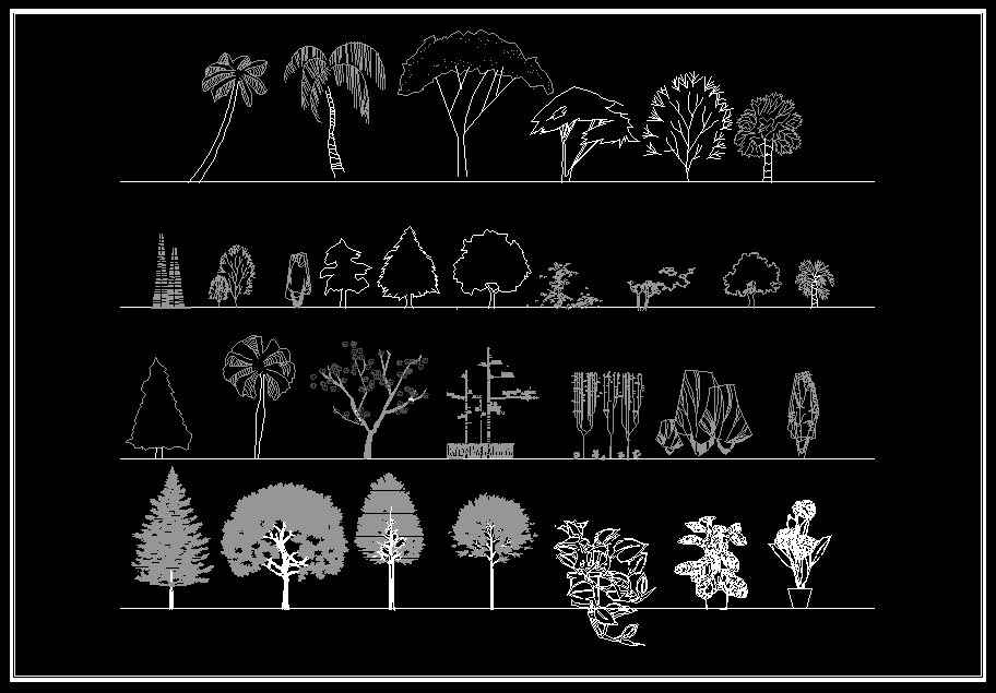tree blocks