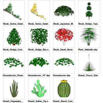 Sketchup Shrubs 3D models download