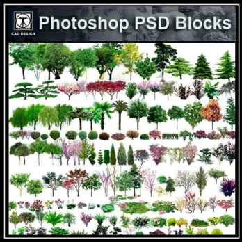 PSD Landscape Tree Blocks 6