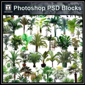 PSD Landscape Tree Blocks 4