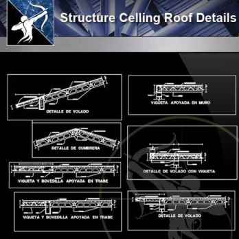 【Architecture CAD Details Collections】Structure Celling Roof Details