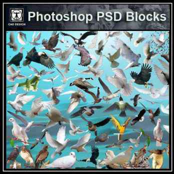 ★【 PSD Landscape Blocks-All Bird PSD Blocks Download】